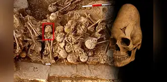 Hallan cráneo femenino de hace 6.200 años con deformación hecha en la infancia, según estudio científico Hallan cráneo femenino de hace 6.200 años con deformación hecha en la infancia, según estudio científico