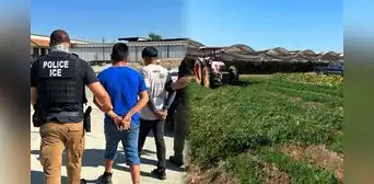 Atención, inmigrantes en EEUU: ICE realiza grandes operativos en las granjas de este condado de California Atención, inmigrantes en EEUU: ICE realiza grandes operativos en las granjas de este condado de California