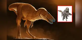 El ‘Príncipe Dragón’, un nuevo dinosaurio descubierto en Mongolia, según estudio científico: es pariente del T. rex El ‘Príncipe Dragón’, un nuevo dinosaurio descubierto en Mongolia, según estudio científico: es pariente del T. rex