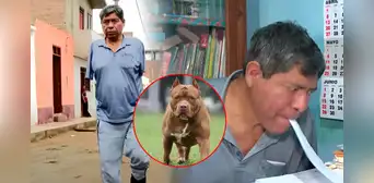 Peruano perdió los dos brazos y estuvo un mes en coma tras brutal ataque de 3 pitbulls: dueños no se hacen responsables Peruano perdió los dos brazos y estuvo un mes en coma tras brutal ataque de 3 pitbulls: dueños no se hacen responsables