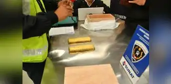 Investigan 48 empresas que intentaron sacar del país 720 kilos de oro Investigan 48 empresas que intentaron sacar del país 720 kilos de oro