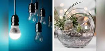 ¿Qué hacer con los focos quemados? Recíclalos y crea decoraciones ecoamigables para tu hogar