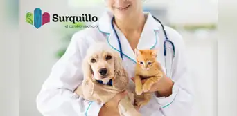 Surquillo lanza campaña veterinaria gratuita para perros y gatos: ¿Qué servicios ofrecerán el 14 de junio?