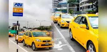 Color amarillo y otros elementos adicionales: todo lo que tienen que implementar los taxistas antes del 14 de junio