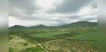 De tierras secas a amplios cultivos: Cómo Olmos impulsa la productividad agrícola en Valle Viejo De tierras secas a amplios cultivos: Cómo Olmos impulsa la productividad agrícola en Valle Viejo