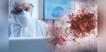 Descubren un nuevo tratamiento que podría frenar el crecimiento de tumores en pacientes con cáncer, según estudio científico