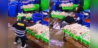 Segundo ataque a la 'Reina del Pollo' en Huaura: sicarios disfrazados de policía matan a su pareja y a otro hombre Segundo ataque a la 'Reina del Pollo' en Huaura: sicarios disfrazados de policía matan a su pareja y a otro hombre
