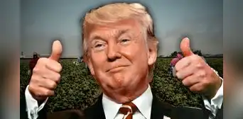 Excelentes noticias para inmigrantes en EEUU: este grupo de trabajadores ya no serán detenidos por el ICE bajo órdenes de Trump Excelentes noticias para inmigrantes en EEUU: este grupo de trabajadores ya no serán detenidos por el ICE bajo órdenes de Trump