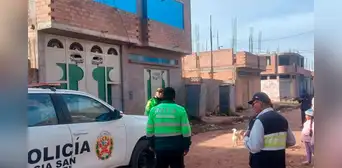 Robacasas violentan chapas y se llevan objetos de valor de comerciantes en Juliaca Robacasas violentan chapas y se llevan objetos de valor de comerciantes en Juliaca