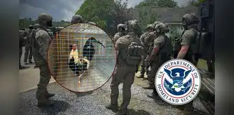 ICE golpea fuerte: arrestan a 55 inmigrantes tras sospechas de banda delictiva de peleas de gallos en este estado de EEUU