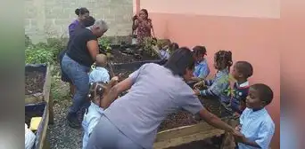 ¿Cómo se debería integrar la educación ambiental en todas las áreas del currículo escolar?: estrategias clave para una enseñanza sostenible ¿Cómo se debería integrar la educación ambiental en todas las áreas del currículo escolar?: estrategias clave para una enseñanza sostenible
