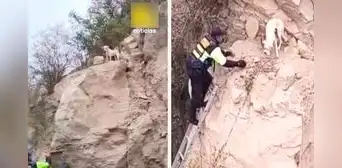 Serenos rescatan a ‘Blanquito’, un travieso perro que quedó atrapado en lo alto de cerro en Tacna: mascota estaba sedienta y asustada Serenos rescatan a ‘Blanquito’, un travieso perro que quedó atrapado en lo alto de cerro en Tacna: mascota estaba sedienta y asustada