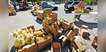 Comida gratis en Florida: organización benéfica entregará alimentos a inmigrantes que vayan a estas ubicaciones
