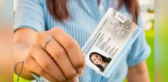 ¿Aún no tienes tu carnet universitario? Consulta en Sunedu el estado de trámite