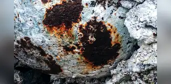 Estudio geológico descubre que los residuos industriales se están convirtiendo en roca tras tan solo 35 años Estudio geológico descubre que los residuos industriales se están convirtiendo en roca tras tan solo 35 años