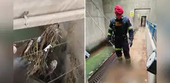 Mujer encontrada sin vida en La Atarjea de Sedapal habría sido víctima de red de trata de personas, según PNP Mujer encontrada sin vida en La Atarjea de Sedapal habría sido víctima de red de trata de personas, según PNP