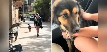 Una mochilera británica salvó la vida de un perro en Perú después de recaudar más de US$20.000: ''Vi cómo lo pisoteaban'' Una mochilera británica salvó la vida de un perro en Perú después de recaudar más de US$20.000: ''Vi cómo lo pisoteaban''