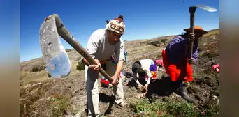 ¿El Día del Campesino es feriado en Perú? Regiones donde hoy 24 de junio sí es descanso y qué dice El Peruano sobre esta fecha ¿El Día del Campesino es feriado en Perú? Regiones donde hoy 24 de junio sí es descanso y qué dice El Peruano sobre esta fecha