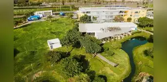 Más que un campus verde: Universidad Científica del Sur lidera en sostenibilidad