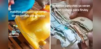 Peruano guarda su dinero en una alcancía, pero descubre que ratones se comieron sus billetes de S/100: “Mis ahorros, mi dinero” Peruano guarda su dinero en una alcancía, pero descubre que ratones se comieron sus billetes de S/100: “Mis ahorros, mi dinero”
