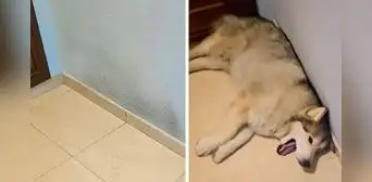 Joven explica la emotiva razón por la que no borra algunas manchas de su pared: "Son recuerdos"