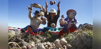 Día del Campesino 2025 en Perú: cuándo se celebra y cuál es su origen Día del Campesino 2025 en Perú: cuándo se celebra y cuál es su origen