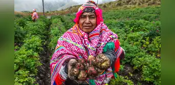 50 frases por el Día del Campesino 2025: los mejores saludos y mensajes para el 24 de junio 50 frases por el Día del Campesino 2025: los mejores saludos y mensajes para el 24 de junio