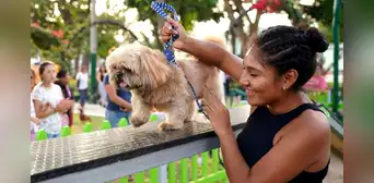 Lista de malls pet friendly en Lima: conoce los centros comerciales que aceptan mascotas Lista de malls pet friendly en Lima: conoce los centros comerciales que aceptan mascotas