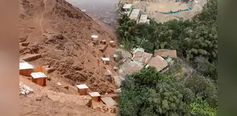 La selva escondida en desierto de Lima: mujer ayacuchana crea oasis verde con más de 100 especies en SJL