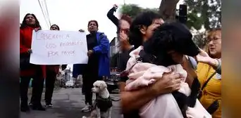 Denuncian presunto maltrato animal en albergue temporal en Comas