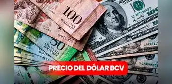 Dólar BCV y paralelo hoy 26 de junio 2025: conoce el tipo de cambio oficial del Banco Central de Venezuela Dólar BCV y paralelo hoy 26 de junio 2025: conoce el tipo de cambio oficial del Banco Central de Venezuela