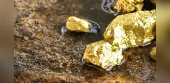 Mujer descubre yacimiento con siete toneladas de oro bajo su granja, pero el Estado le terminó arrebatando todo en Francia Mujer descubre yacimiento con siete toneladas de oro bajo su granja, pero el Estado le terminó arrebatando todo en Francia