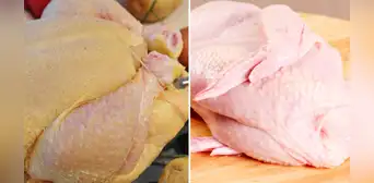 Pollo amarillo vs. pollo blanco: ¿cuál es mejor para tu salud y dieta diaria? Pollo amarillo vs. pollo blanco: ¿cuál es mejor para tu salud y dieta diaria?