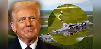 ¿Qué es 'Alligator Alcatraz'? Trump aprueba una temida prisión para inmigrantes rodeada de cocodrilos en EEUU