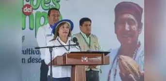 Denuncia constitucional contra Dina Boluarte por homicidio lleva medio año estancada