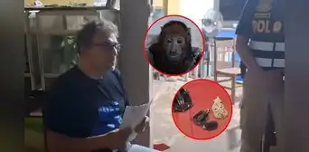 Cae español que líderaría red internacional de tráfico de animales silvestres: cazaba en comunidades nativas de la Amazonía peruana