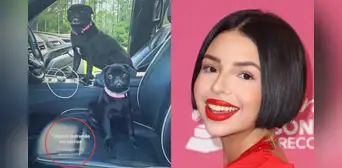 Ángela Aguilar lanza fuerte mensaje en sus redes a críticos con canción de Valentín Elizalde: "Siguen ladrando los perros"