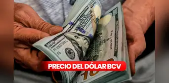 Tasa de cambio del Dólar BCV y paralelo hoy vía Banco Central de Venezuela: conoce la cotización oficial del 29 de junio 2025