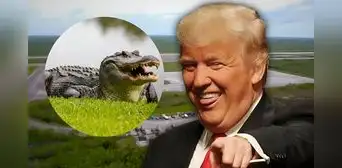 ¿Qué es 'Alligator Alcatraz'? Trump aprueba una temida prisión para inmigrantes rodeada de cocodrilos en EEUU ¿Qué es 'Alligator Alcatraz'? Trump aprueba una temida prisión para inmigrantes rodeada de cocodrilos en EEUU