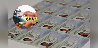 Carnet universitario: ¿aplica medio pasaje en temporada de vacaciones de instituto o universidad? Carnet universitario: ¿aplica medio pasaje en temporada de vacaciones de instituto o universidad?