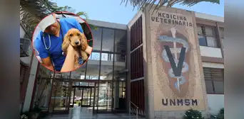 Clínica veterinaria San Marcos: cuál es el tarifario de precios, dirección y qué servicios ofrece para tu mascota Clínica veterinaria San Marcos: cuál es el tarifario de precios, dirección y qué servicios ofrece para tu mascota