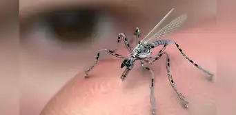 China desarrolla un minidron espía del tamaño de un mosquito: puede infiltrarse en misiones secretas sin ser detectado China desarrolla un minidron espía del tamaño de un mosquito: puede infiltrarse en misiones secretas sin ser detectado