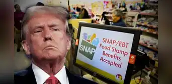 Pésimas noticias de SNAP: estos 23 estados perderían beneficios para bonos alimentarios tras recortes de Trump en EEUU Pésimas noticias de SNAP: estos 23 estados perderían beneficios para bonos alimentarios tras recortes de Trump en EEUU
