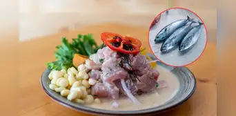 Día del Ceviche: descubre cómo el ceviche con pescado azul mejora la nutrición sin perder su esencia