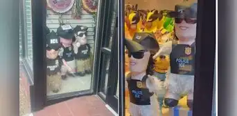 "¡Dale al ICE!": piñatas de agentes migratorios se vuelven virales en Chicago como protesta de inmigrantes mexicanos