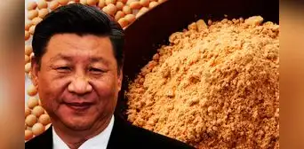 China compra harina de soja a este país de Sudamérica por primera vez en la historia tras más de dos décadas
