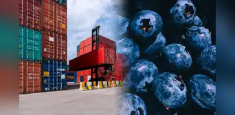 El país que superó a Chile como el mayor exportador de frutas de Sudamérica y ocupa el quinto lugar en el mundo El país que superó a Chile como el mayor exportador de frutas de Sudamérica y ocupa el quinto lugar en el mundo