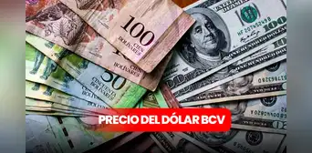 Dólar BCV y dólar paralelo hoy en Venezuela: cotización actualizada y tasa de cambio oficial para este martes 1 de de julio Dólar BCV y dólar paralelo hoy en Venezuela: cotización actualizada y tasa de cambio oficial para este martes 1 de de julio