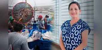 Especialista de la UNMSM revela la razón detrás de la masiva cantidad de pota en las playas de Lima: "Se están presentando eventos oceanográficos"