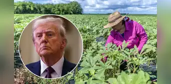 Excelentes noticias para inmigrantes en EEUU: Trump anuncia nuevo "pase temporal" para trabajadores de esta industria